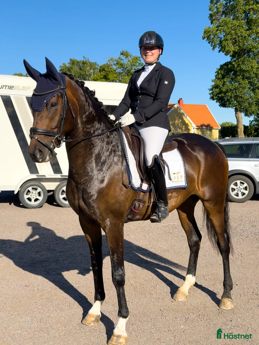 Dressyr hästar till salu: Talangfull 5åring  - Annons 1