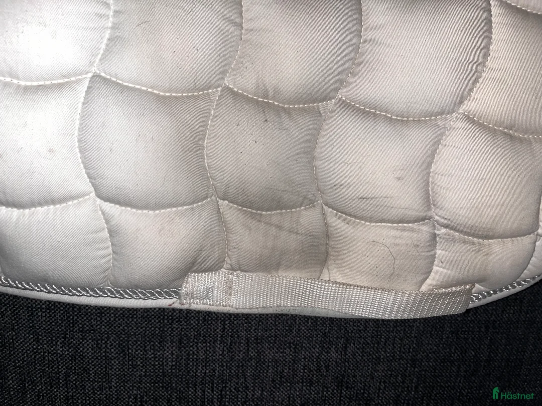 Schabrak & Vojlockar hästutrustning till salu: Fint schabrak säljes  i Jonsered - Annons 4