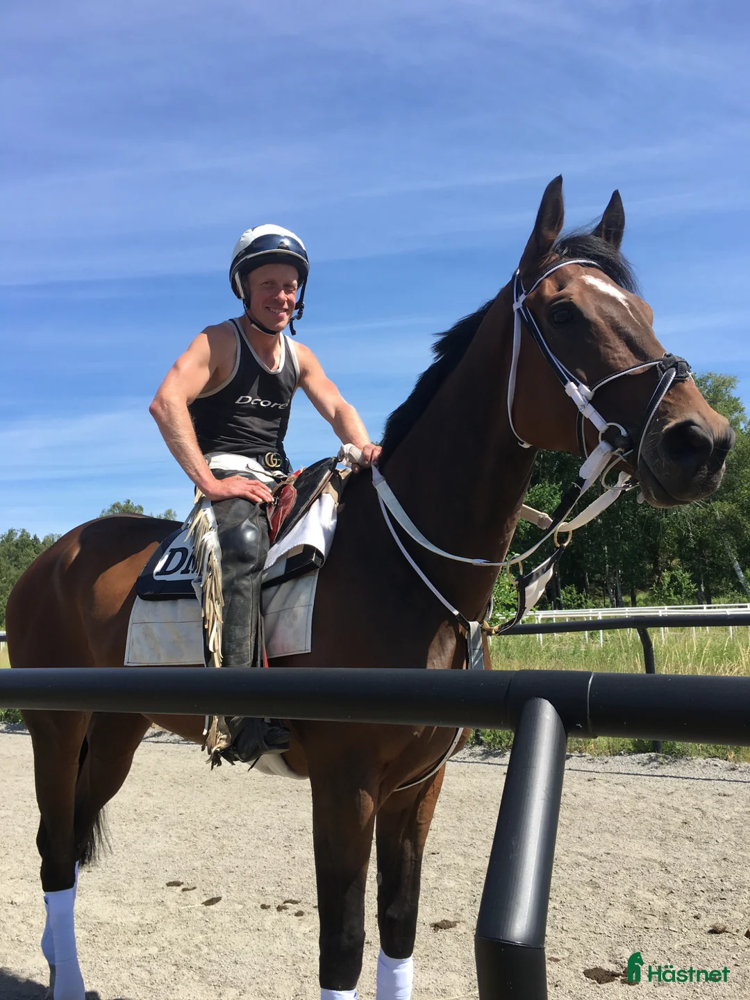 Allround hästar till salu: Underbar häst till salu i Djursholm - Annons 1