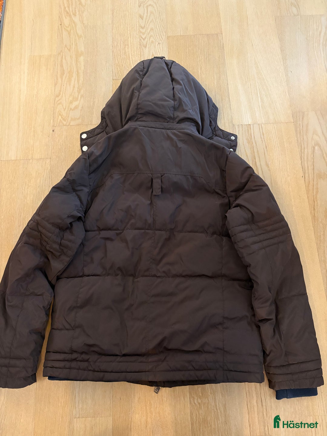 Jackor & Kavajer ryttarutrustning till salu: Euro-Star jacka i Blentarp - Annons 2