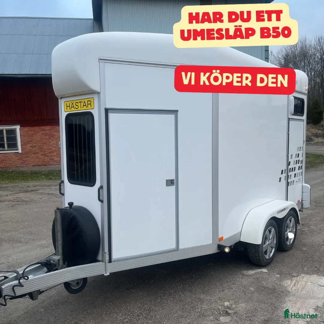 Hästtransporter  fordon & transport till salu: UMESLÄP KÖPES i Vallentuna - Annons 2