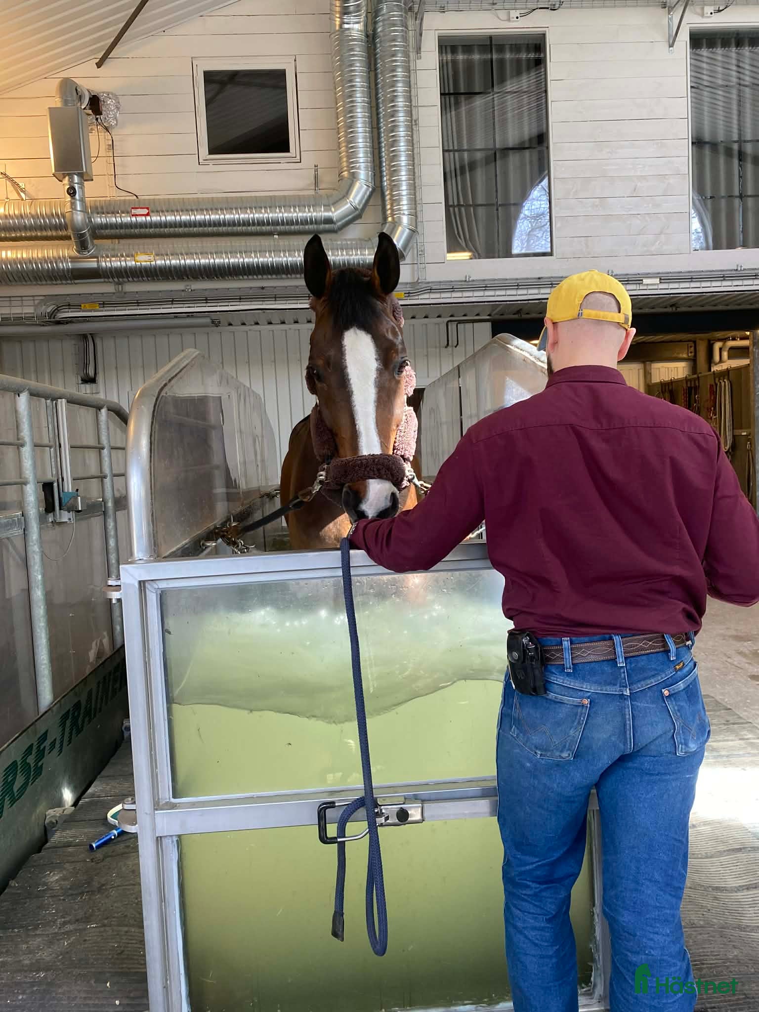  hästservice finnes: Sommarrea 40%! Vattenbandsträning!🌊 - Annons 1