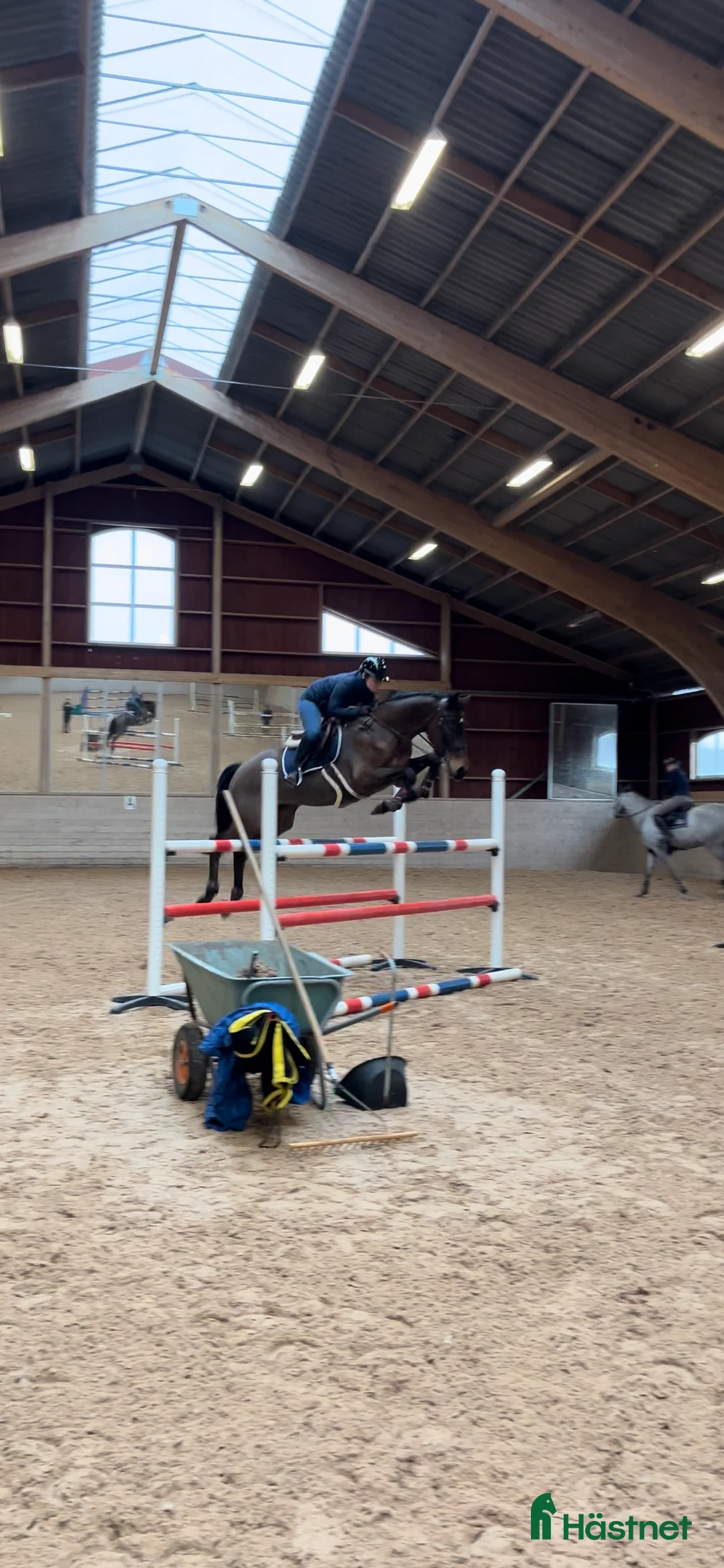  hästjobb finnes: Behöver du hjälp med din häst/ponny🤩 i Svenshögen - Annons 2