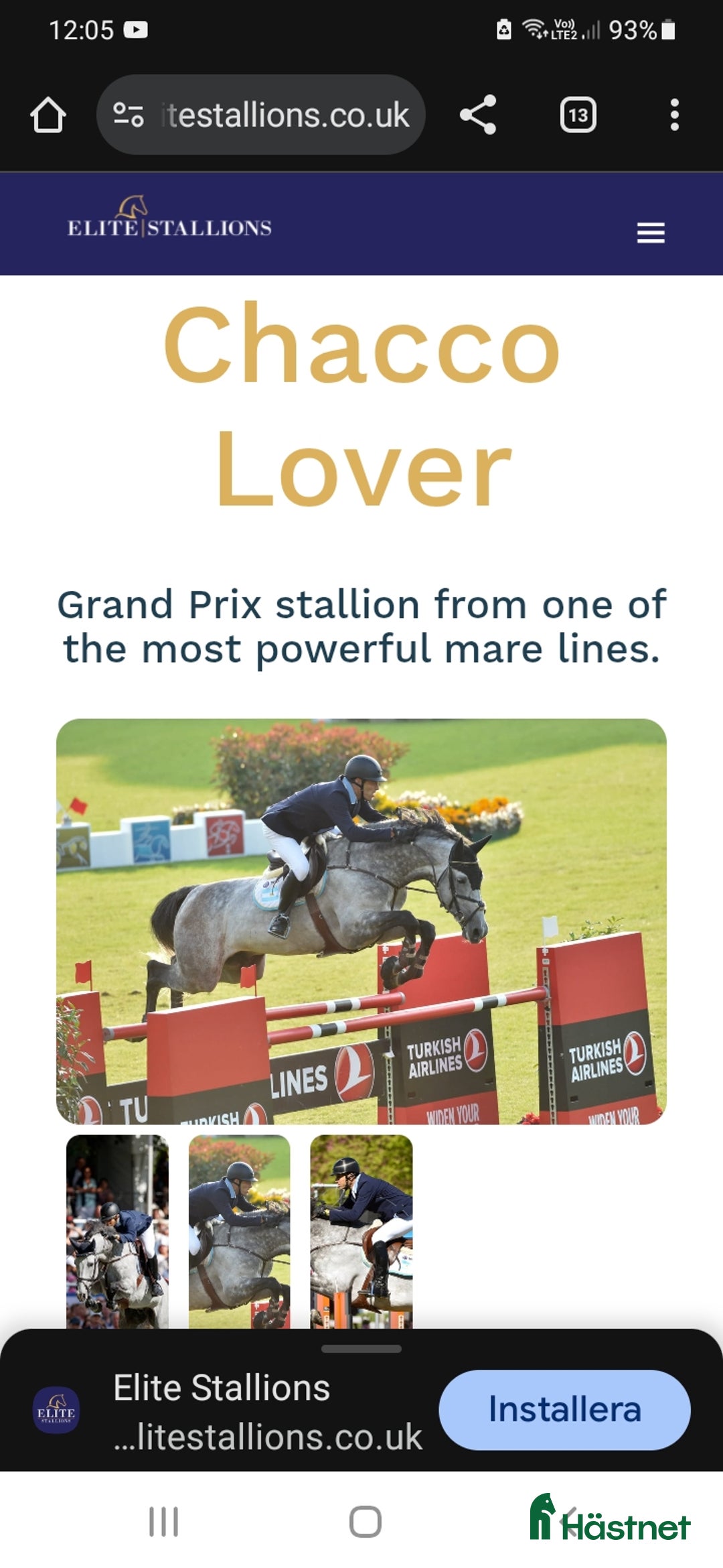 Hoppning hästar till salu: Premieföl i Linderöd - Annons 3