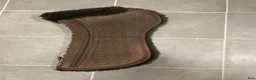Sadeltillbehör hästutrustning till salu: Brun mattes correction pad - Annons 4
