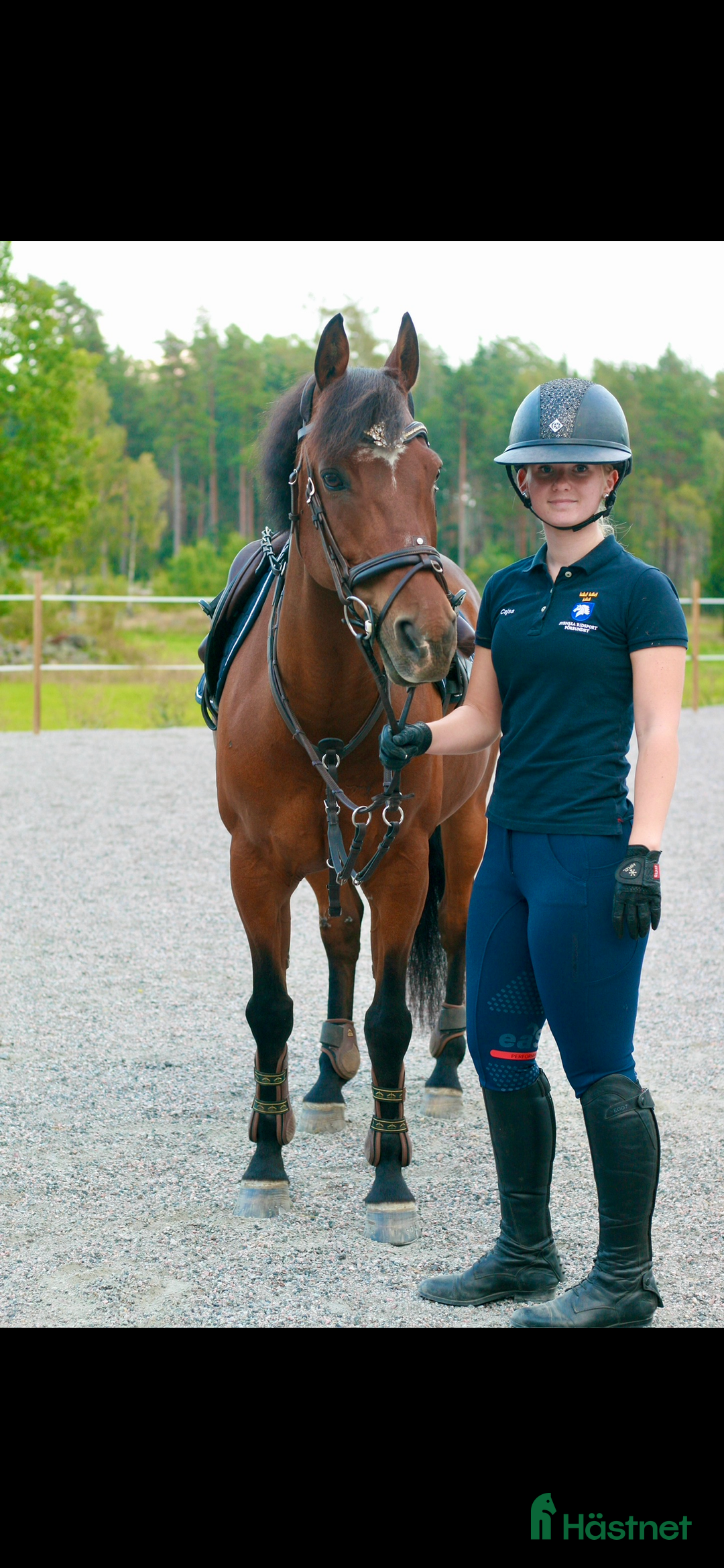 Galleribild {{count}}