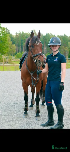 Galleribild {{count}}