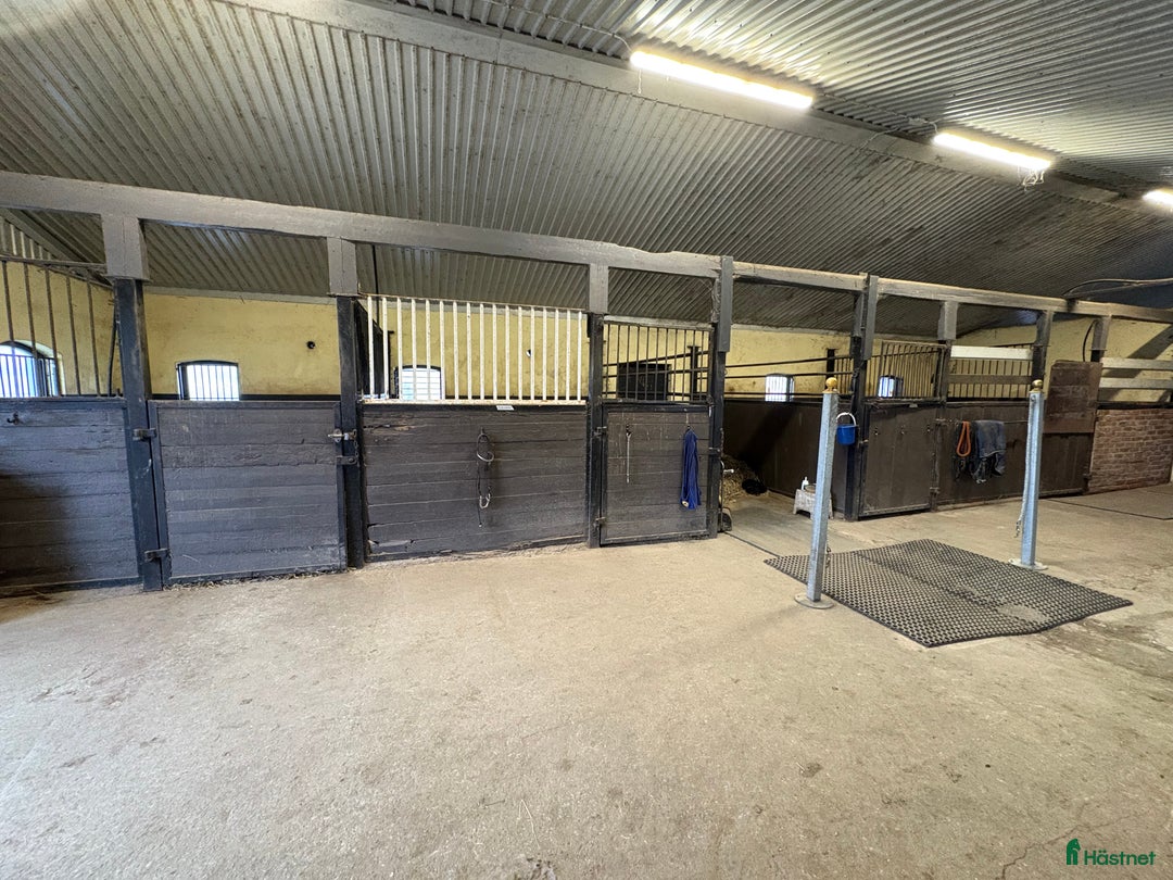  lägenhet till salu: Uthyres! Lägenhet med möjlighet till boxplats  i Vollsjö - Annons 9