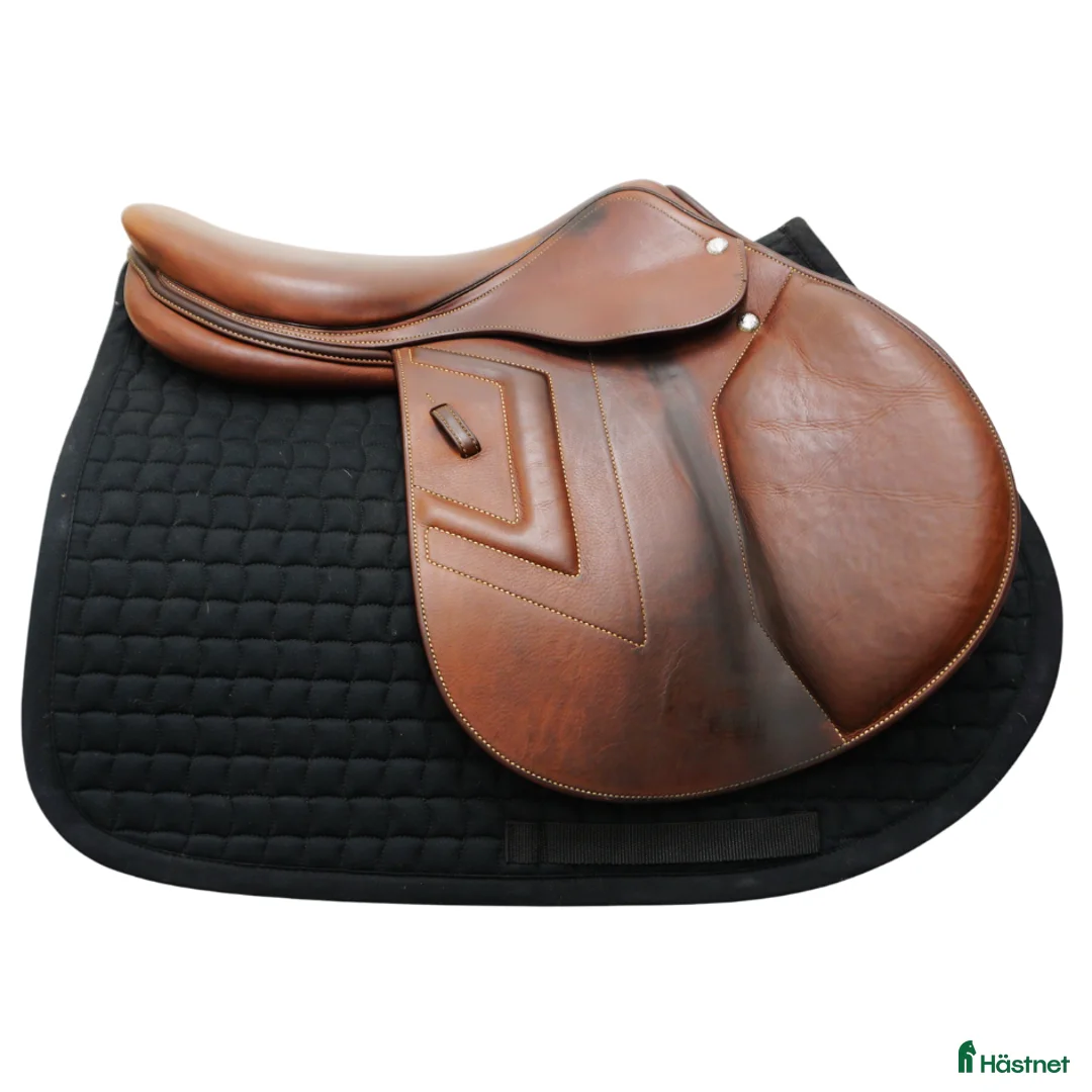 Sadlar hästutrustning till salu: Renaissance F 18" - Annons 2