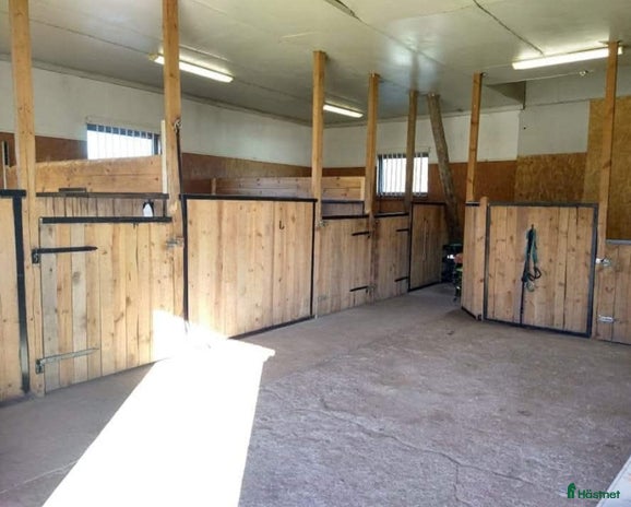 stallplats i Örsundsbro - Annons 15