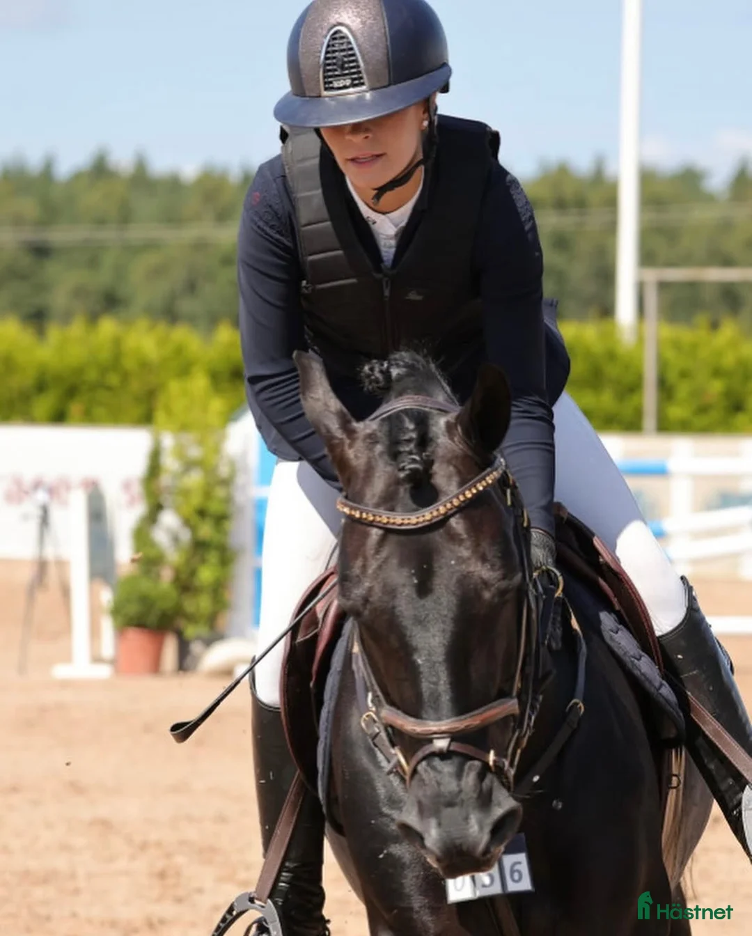 Hoppning hästar till salu: Läromästare och bästa vän!! - Annons 20