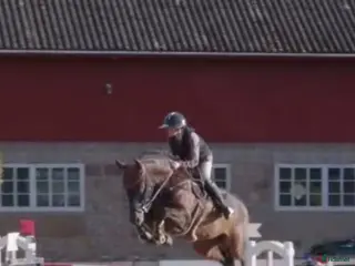 hästar Häst för de allra högsta ! i Sala - Annons 13