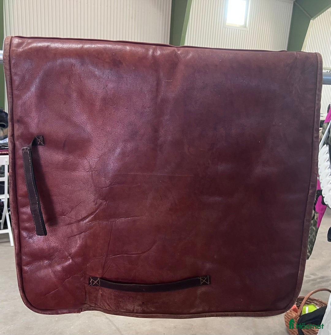 Schabrak & Vojlockar hästutrustning till salu: Schabrak i renskinn  i Karlstad - Annons 1