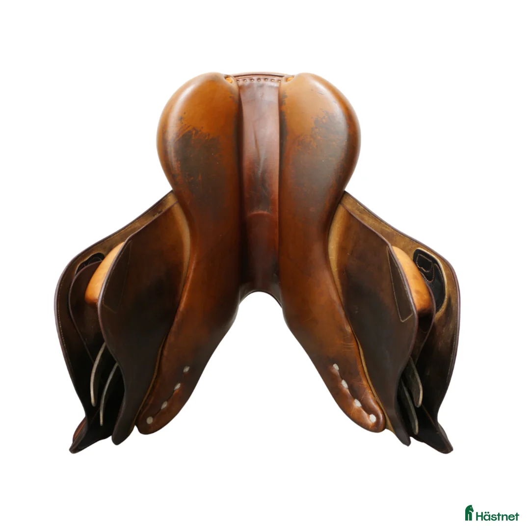 Sadlar hästutrustning till salu: Bruno Delgrange Partition 18" - Annons 7