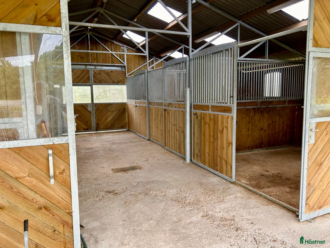  hästgårdar till salu: Perfekt för verksamhet / inackordering - Annons 9