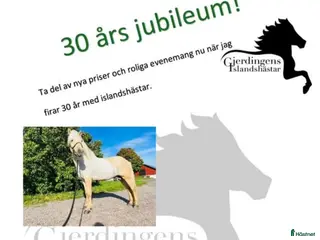 hästservice In/tillridning, lektioner och föreläsningar. - Annons 1