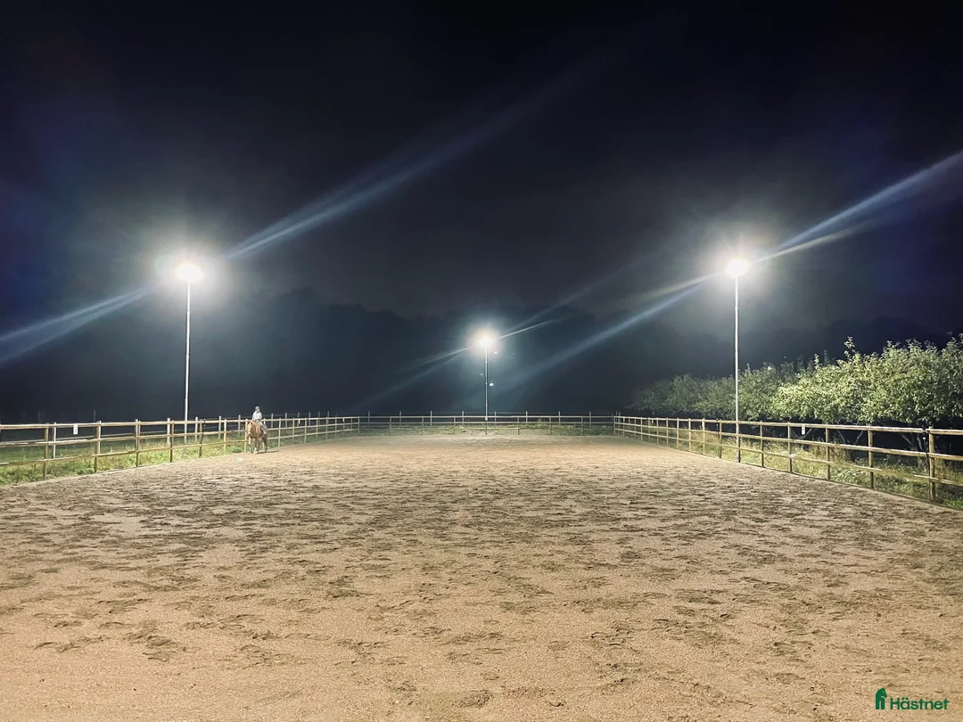  stallplats finnes: Stallplats på Drottningholm  - Annons 2