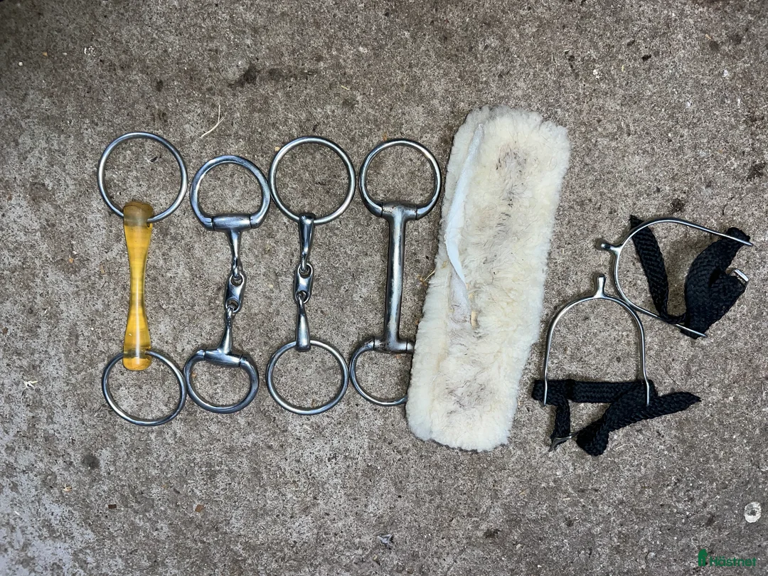 Bett hästutrustning till salu: Bett  i Växjö - Annons 1