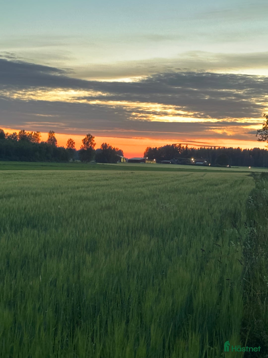  hästservice finnes: Ponnier mottages för träning/tävling/inridning i Björklinge - Annons 1