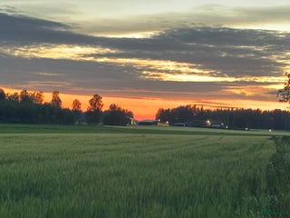 hästservice Ponnier mottages för träning/tävling/inridning i Björklinge - Annons 22