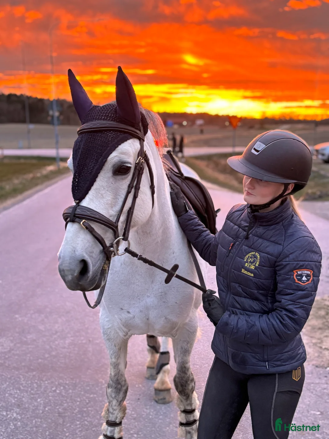 Allround hästar till salu: Trevlig allround D-ponny i Köping - Annons 4