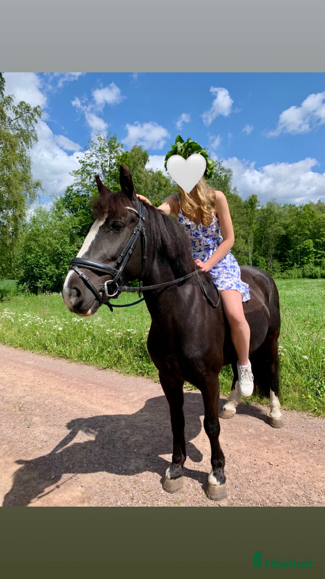 Allround hästar till salu: Viktbärande maxad cponny i Tranås - Annons 2