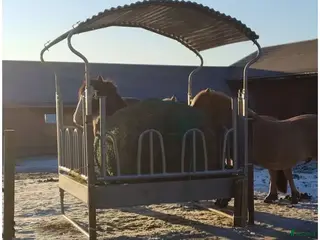 Stallinredning, stängsel & gård övrig utrustning till salu: Galvaniserad foderhäck - Annons 1