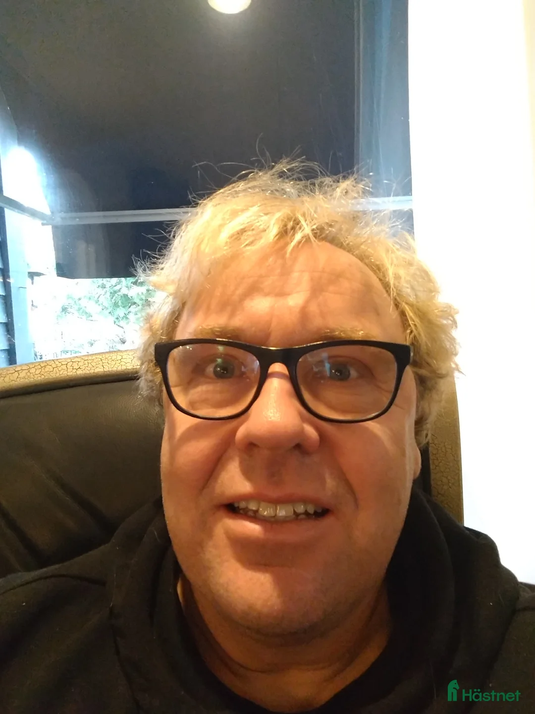  hästservice finnes: Godkänd Hovslagare Hjärnarp/Ängelholm i Hjärnarp - Annons 3