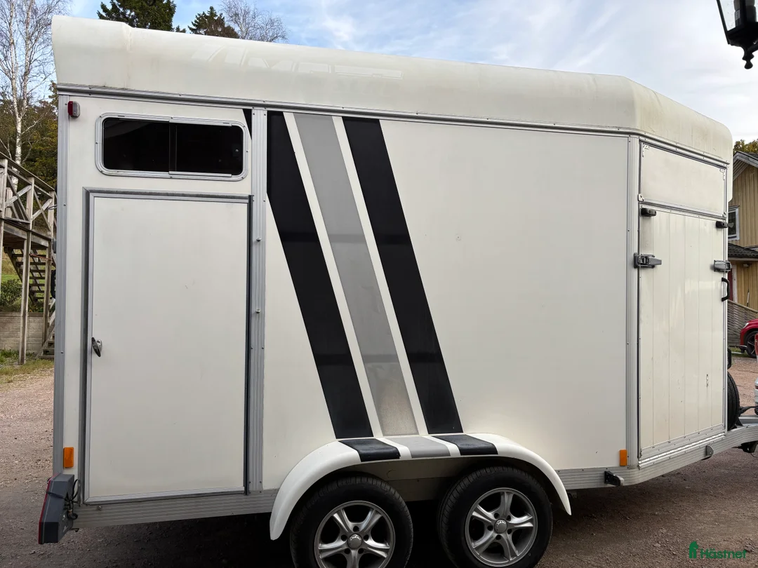 Hästtransporter  fordon & transport till salu: Fint Ume B50  i Hälsö - Annons 2