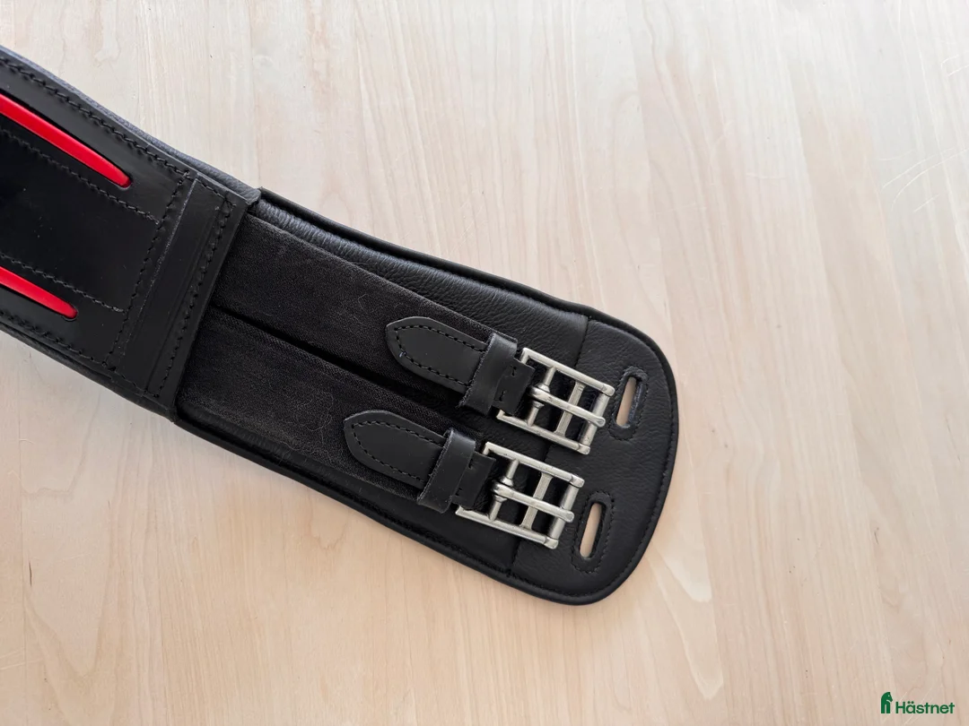 Sadeltillbehör hästutrustning till salu: Karlslund anatomisk lädergjord 55cm i Tjureda - Annons 3