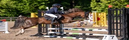 Galopp hästar till salu: Pony showjumping i Bräkne-Hoby - Annons 5