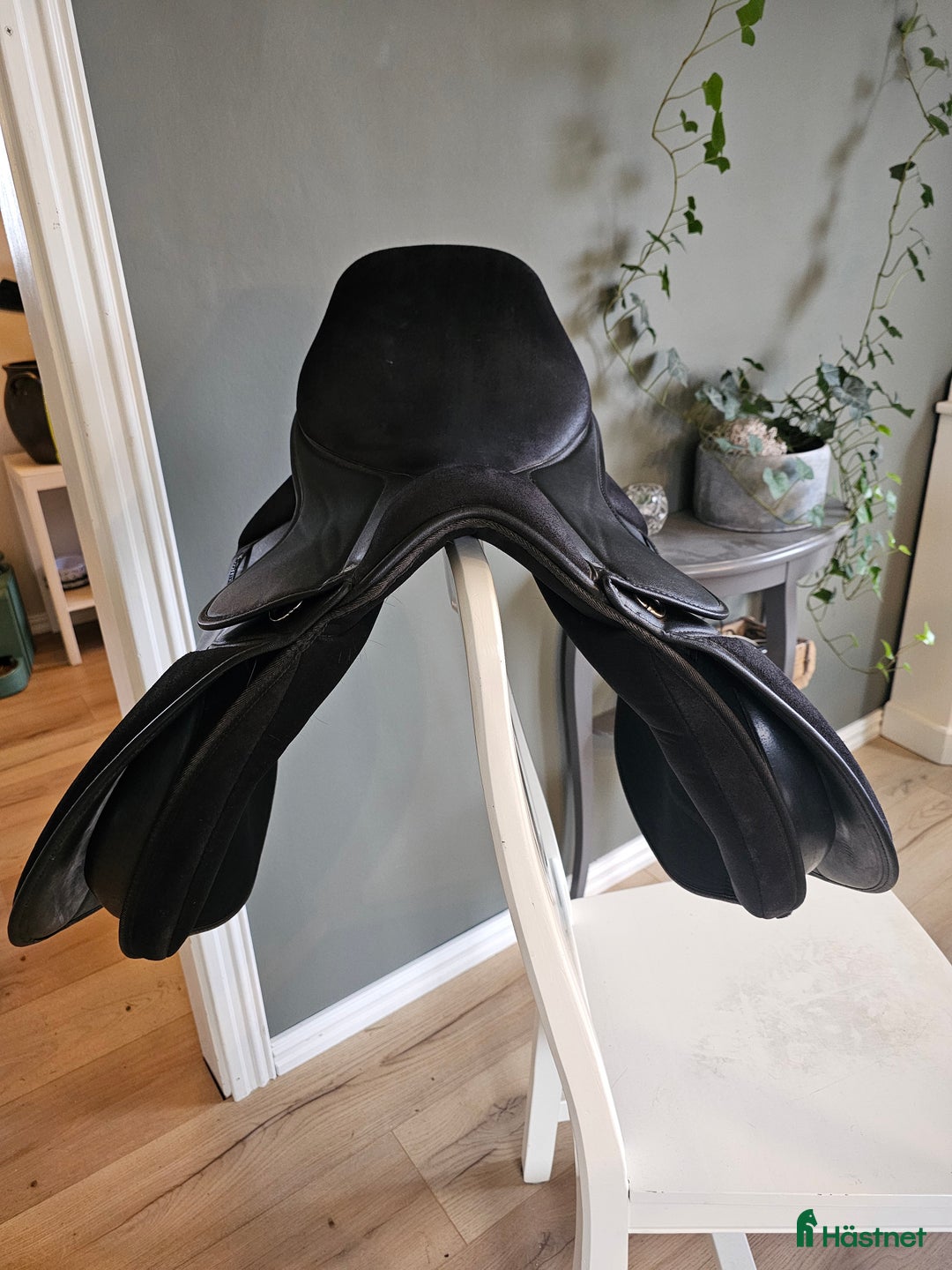 Sadlar hästutrustning till salu: Thorowgood i Annerstad - Annons 2