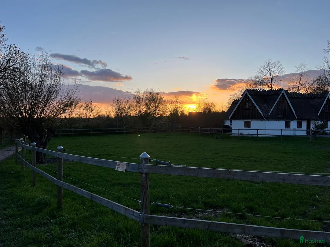  stallplats finnes: Stallplats utanför Lund i Lund - Annons 6