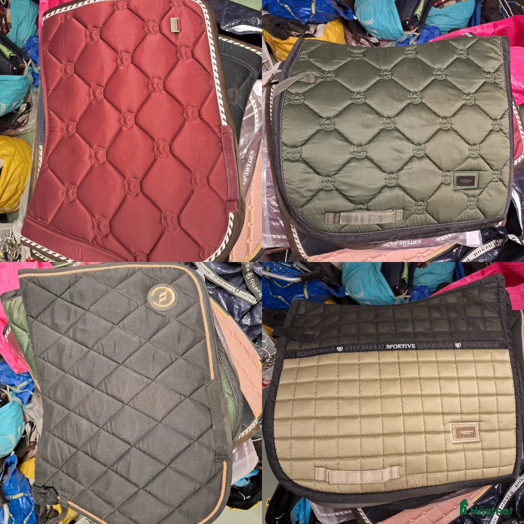 Schabrak & Vojlockar hästutrustning till salu: Massa märkesschabrak säljes i Danderyd - Annons 1