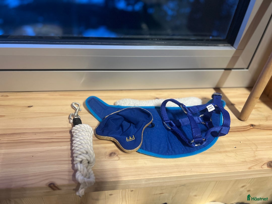 Övrig utrustning övrig utrustning till salu: Hööks käpphäst till salu med tillbehör💙 i Kiruna - Annons 3