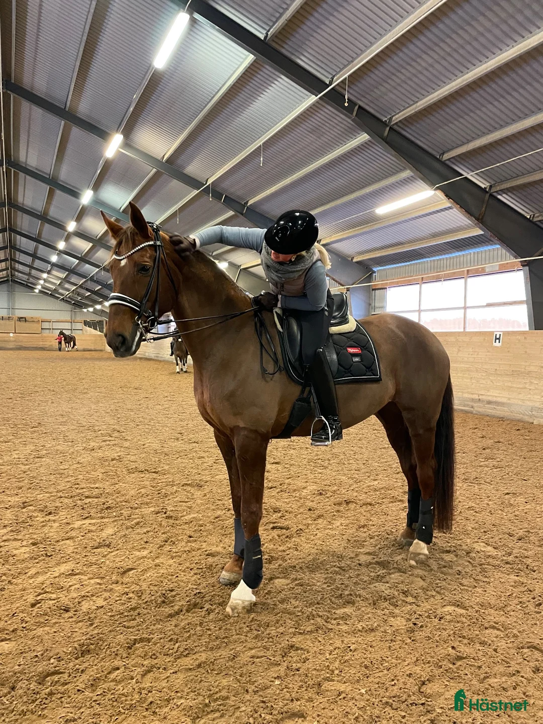  stallplats finnes: Lediga boxar på Ekerö🌾 - Annons 2
