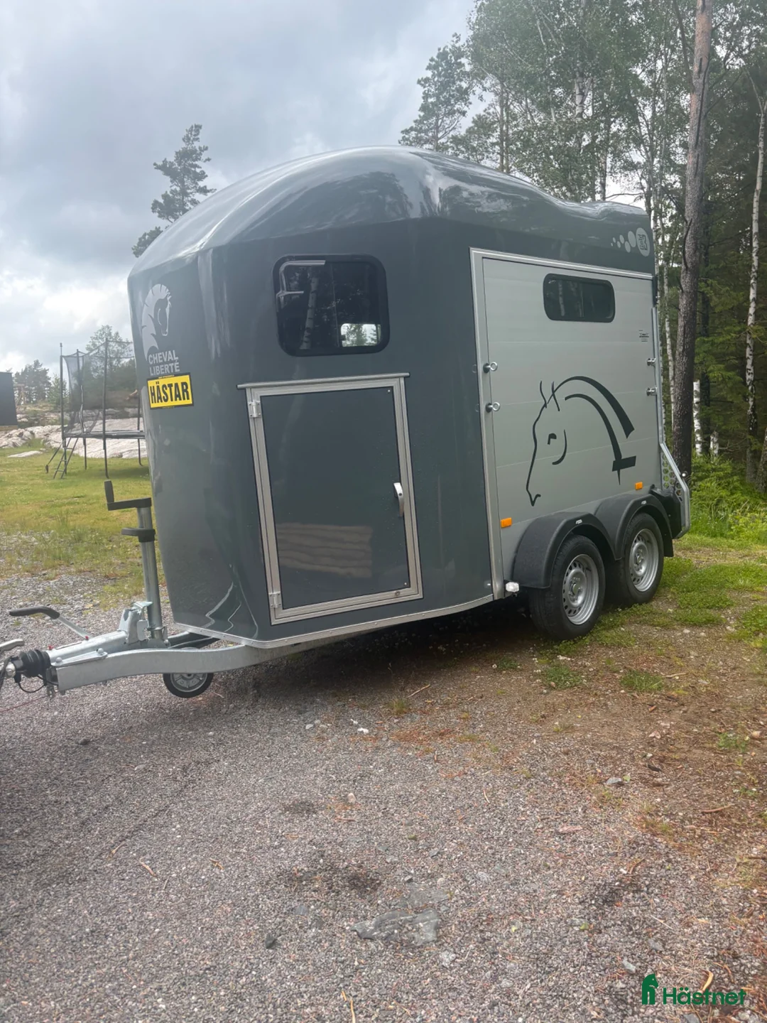 Hästtransporter  fordon & transport till salu: *långtidshyra* - Annons 2