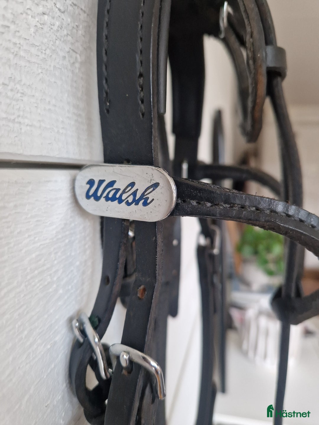 Övrig Travutrustning trav till salu: Walsh huvudlag i läder i Ängelholm - Annons 3