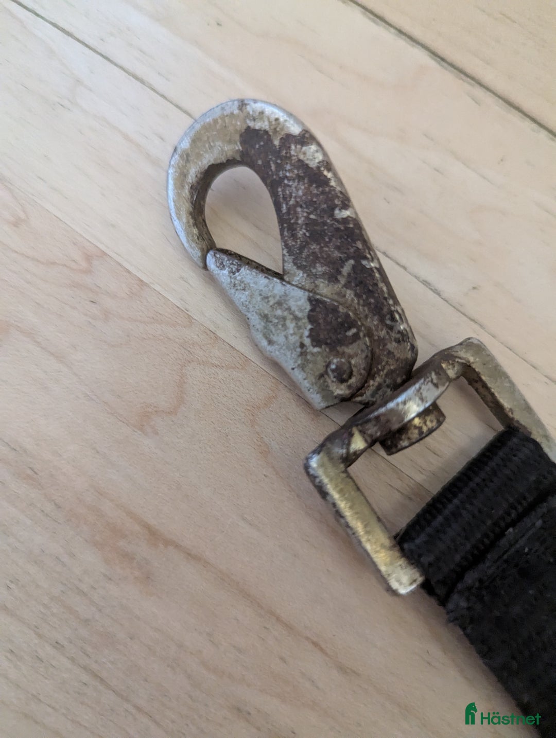 Övrig Hästutrustning hästutrustning till salu: Longering delta  i Ås - Annons 3