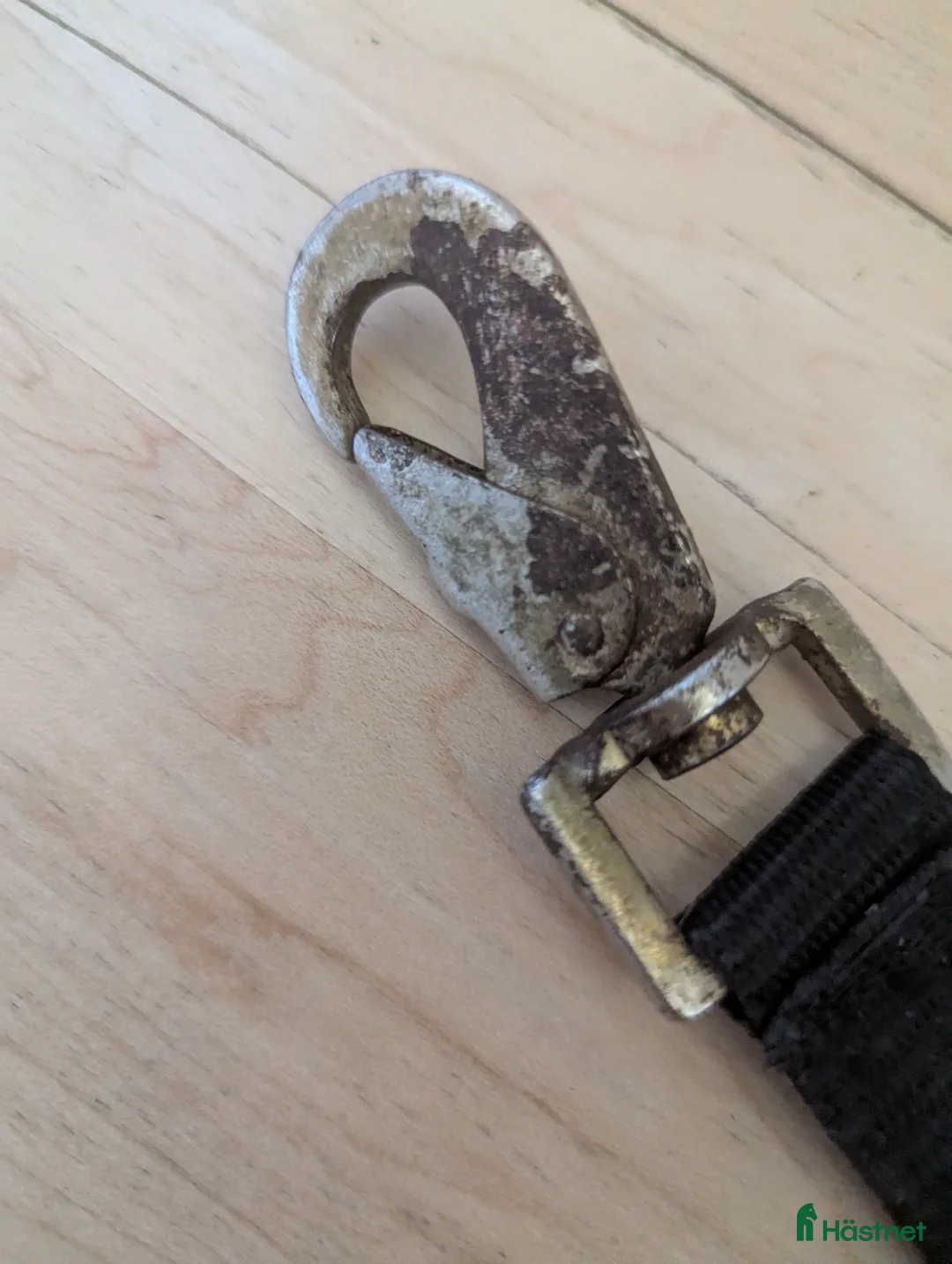 Övrig Hästutrustning hästutrustning till salu: Longering delta  i Ås - Annons 3