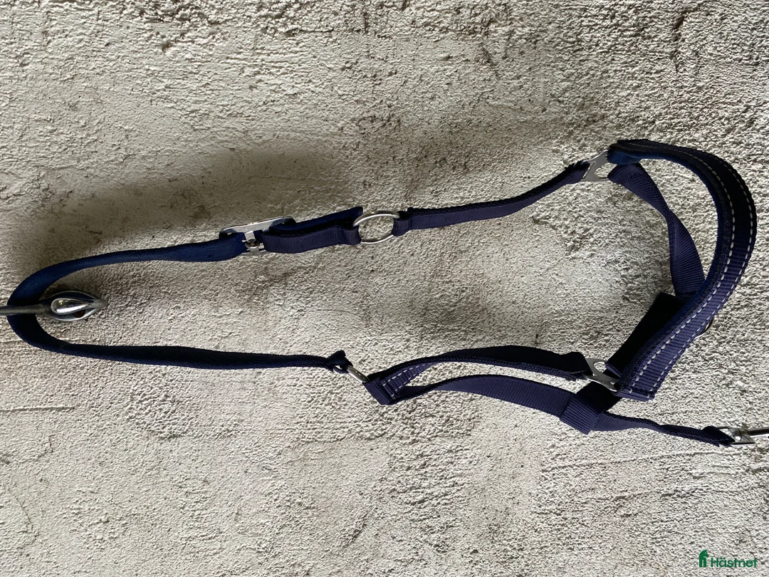 Övrig Hästutrustning hästutrustning till salu: Häst och stall utrustning  - Annons 6