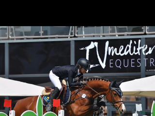 hästar Fint avelssto i Västerås - Annons 1