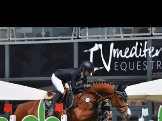 hästar Fint avelssto i Västerås - Annons 5