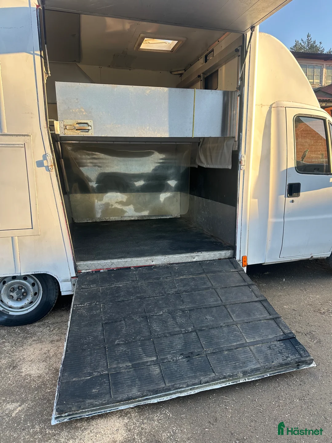 Hästlastbilar  fordon & transport till salu: Fiat ducato med underbar häst del - Annons 14