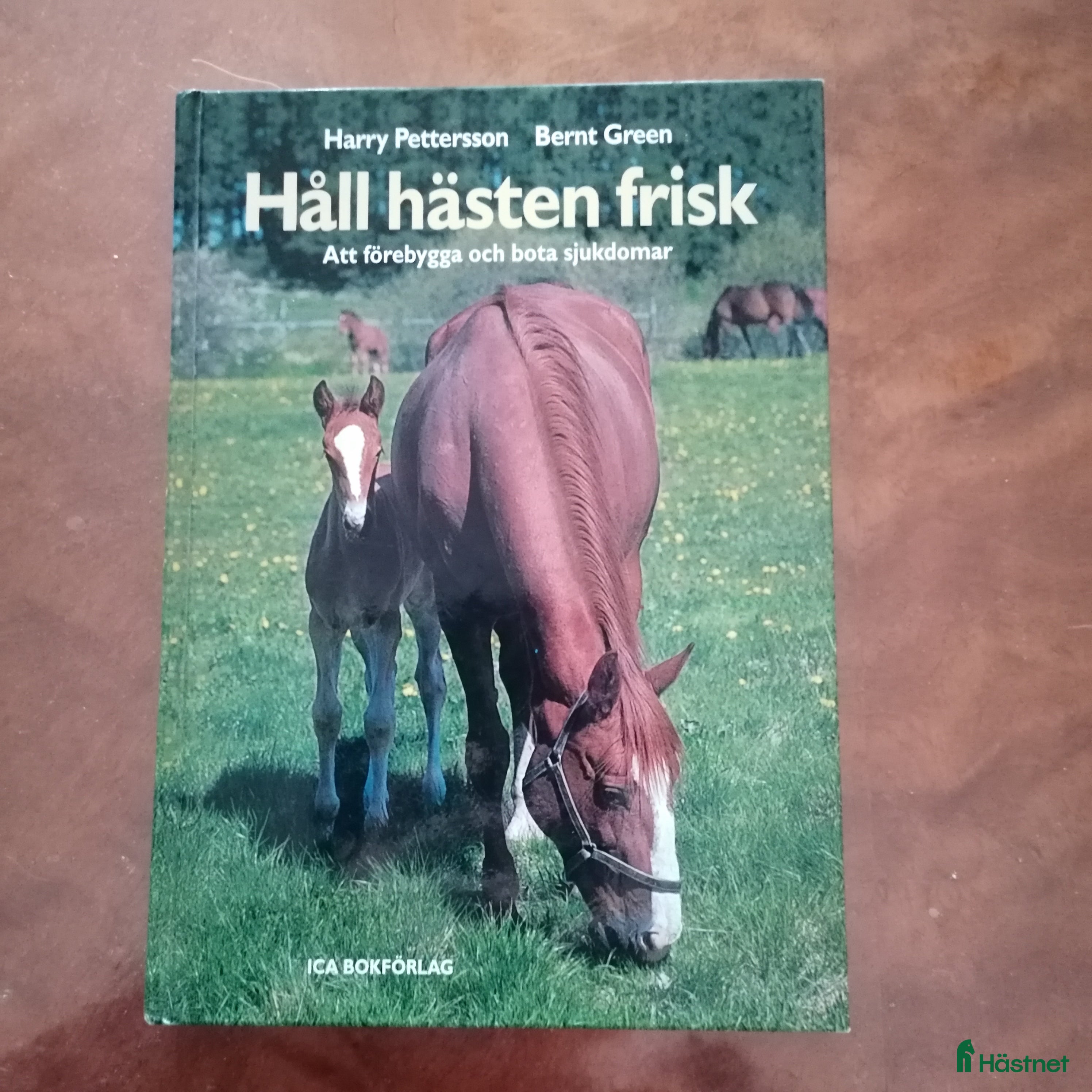 Övrig Ryttarutrustning ryttarutrustning till salu: Håll hästen frisk i Västra Frölunda - Annons 8