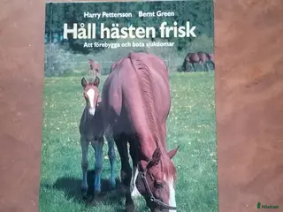 Övrig Ryttarutrustning ryttarutrustning till salu: Håll hästen frisk i Västra Frölunda - Annons 1