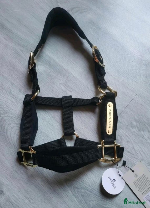 Övrig Hästutrustning hästutrustning till salu: Kentucky-grimma till Shettis  i Grängesberg - Annons 1