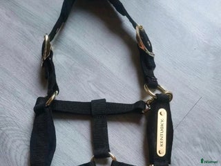 Övrig Hästutrustning hästutrustning till salu: Kentucky-grimma till Shettis i Grängesberg - Annons 1