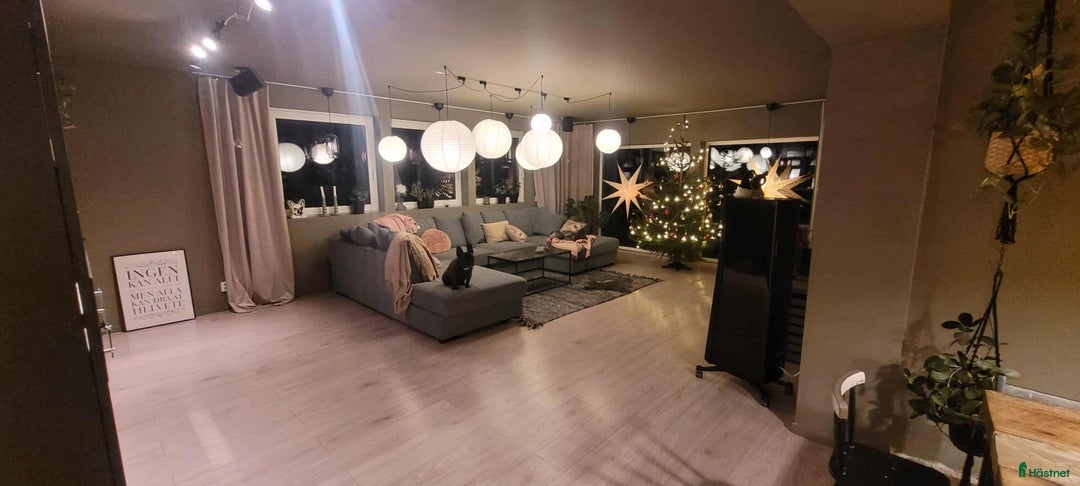  hästgårdar till salu: Mindre gård i Frövi - Annons 8