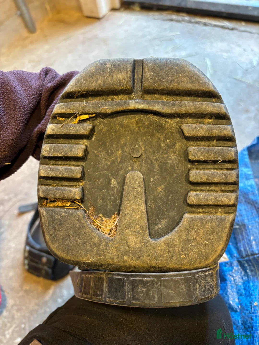 Övrig Hästutrustning hästutrustning till salu: Scoot boots slim strl 5 - Annons 2